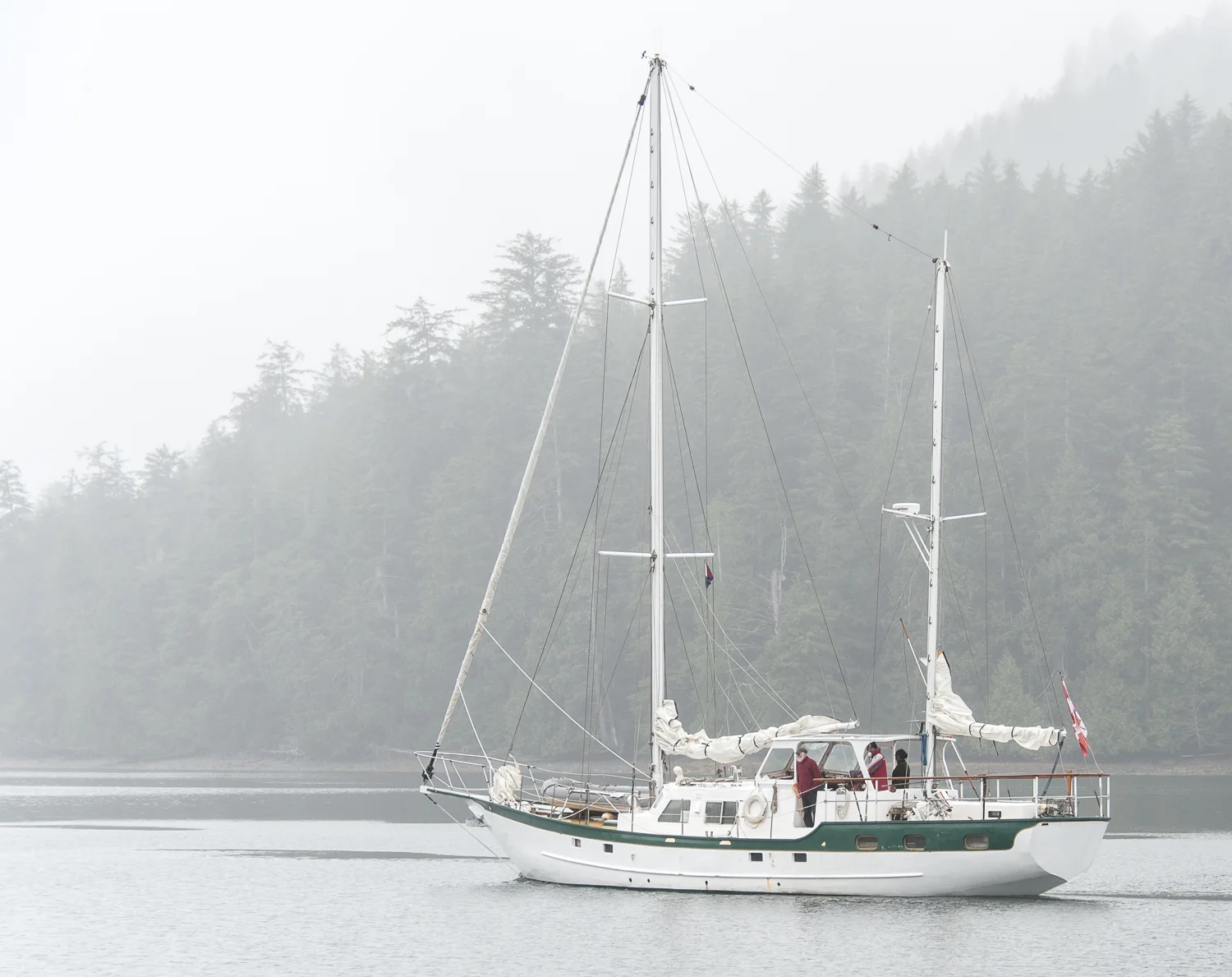 North Harbour anchorage neighbor