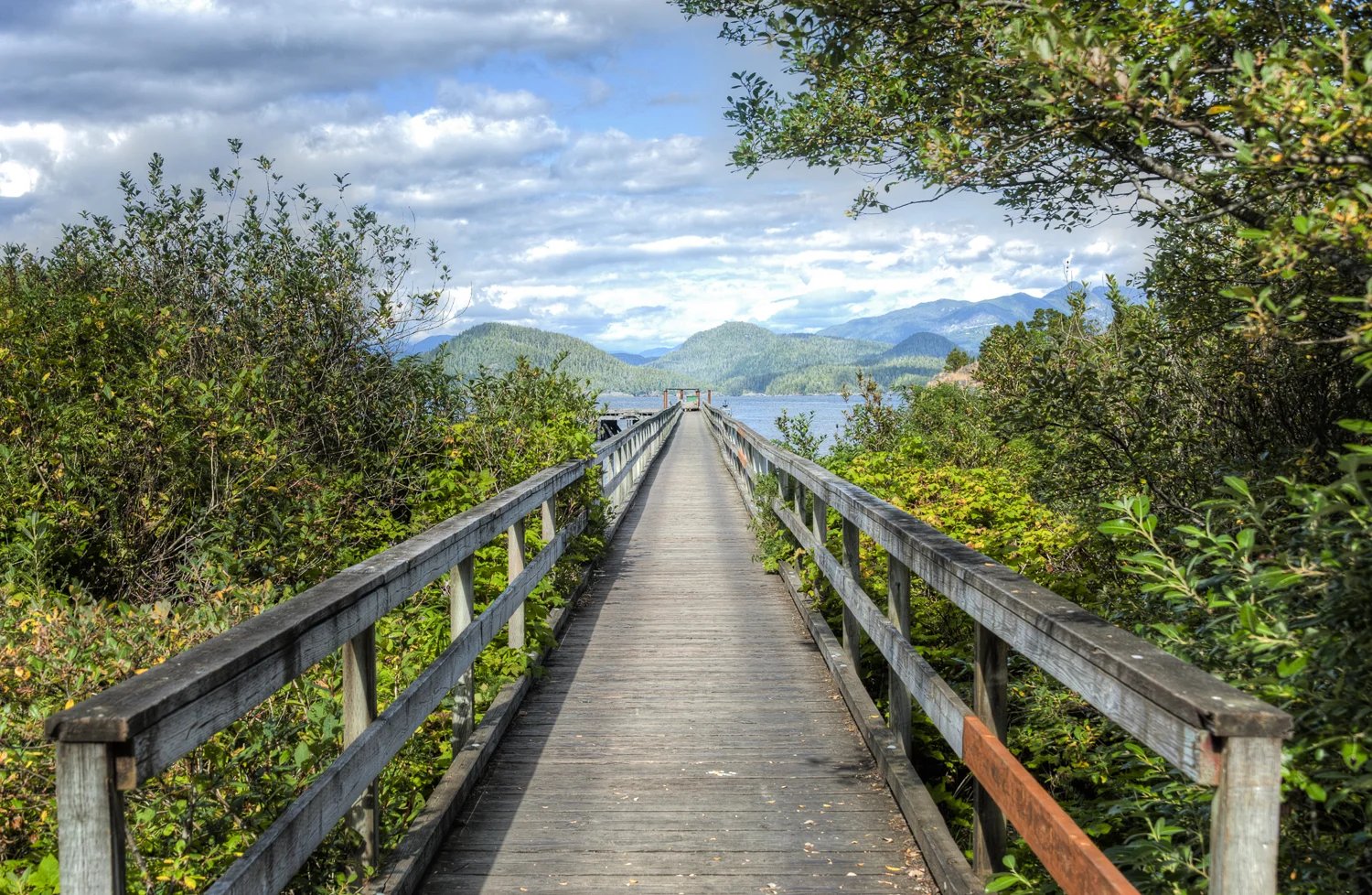 The bridge to the lighthouse