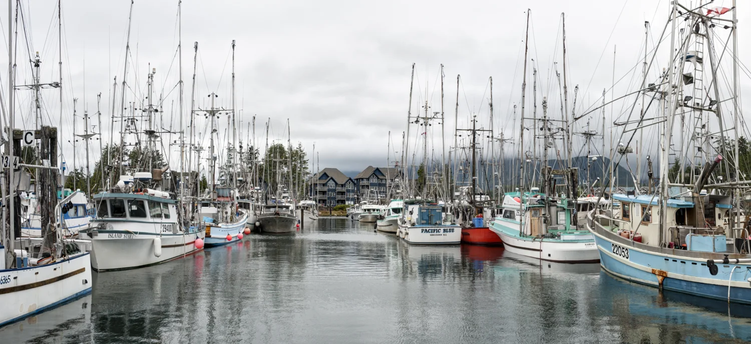 The busy working docks at Ucluelet