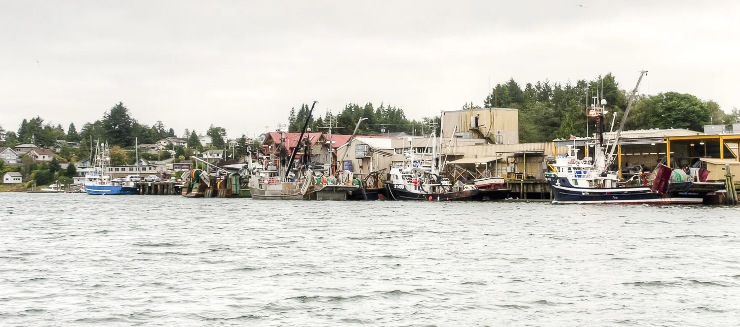 The fish boats unload their holds as we depart Ucluelet
