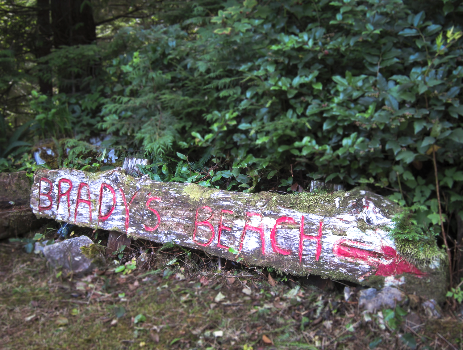 You find lots of homemade sign pointing the way to Brady's Beach