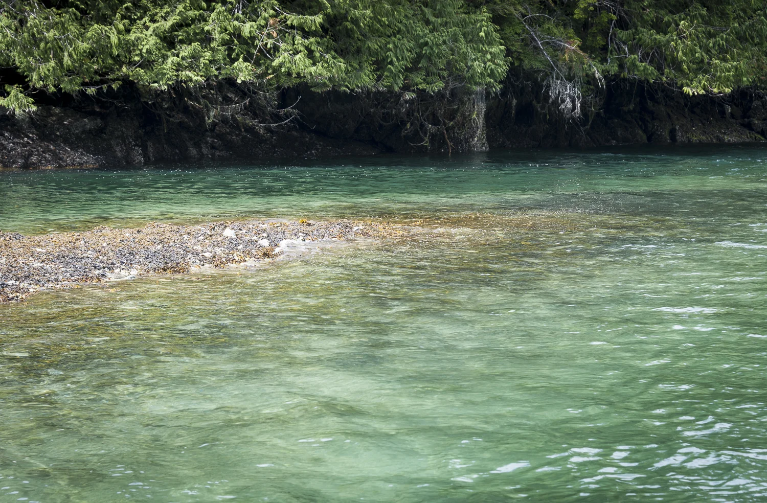 Clear water makes it easy to see the things to avoid