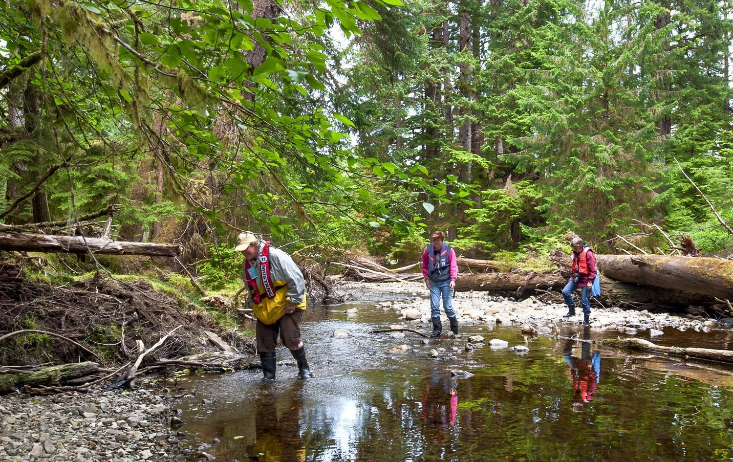 Trekking through the woods and streams