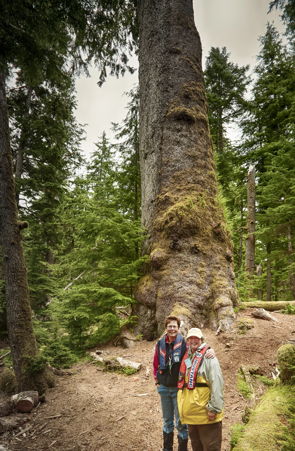 Karen and Kathy stand below the largest Spruce tree