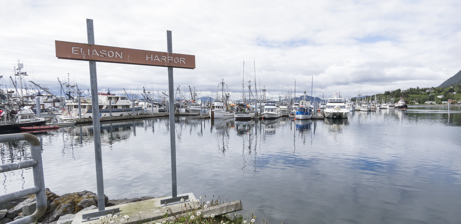 Eliason Harbor is always a hive of activity.