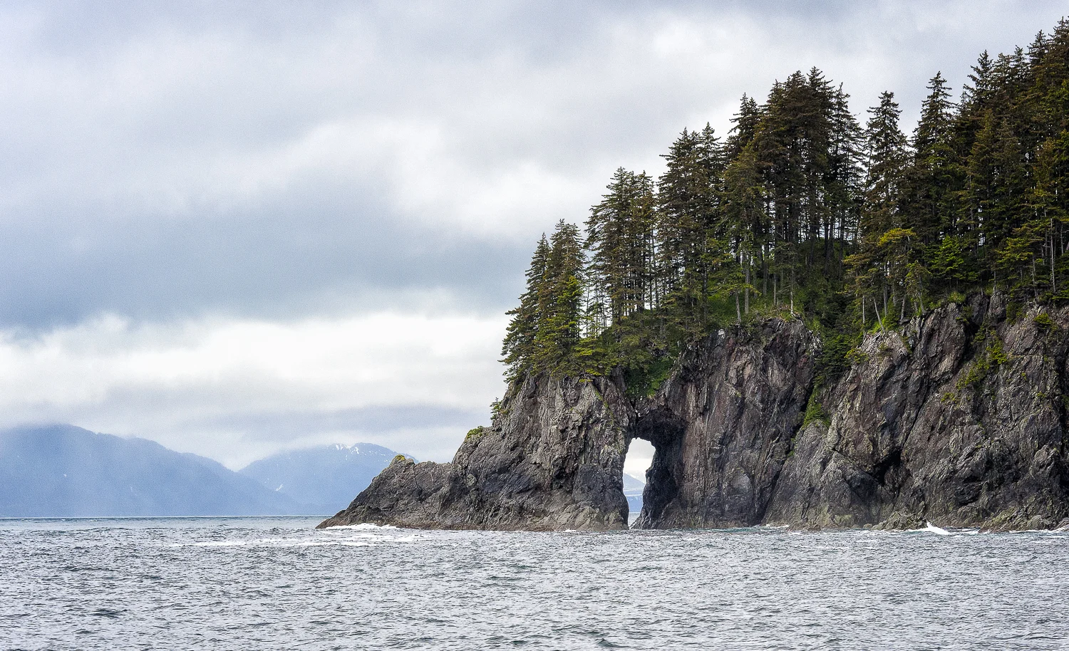 Sea Caves populate the west coast as a tribute to the power of seawater erosion.