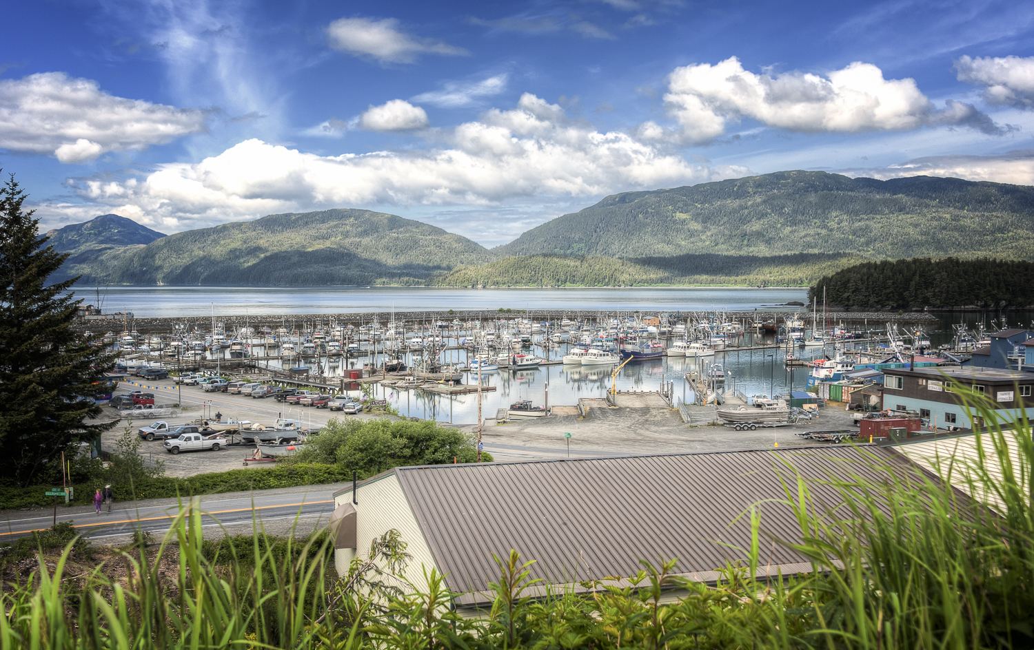 View of the Cordova harbor from the town