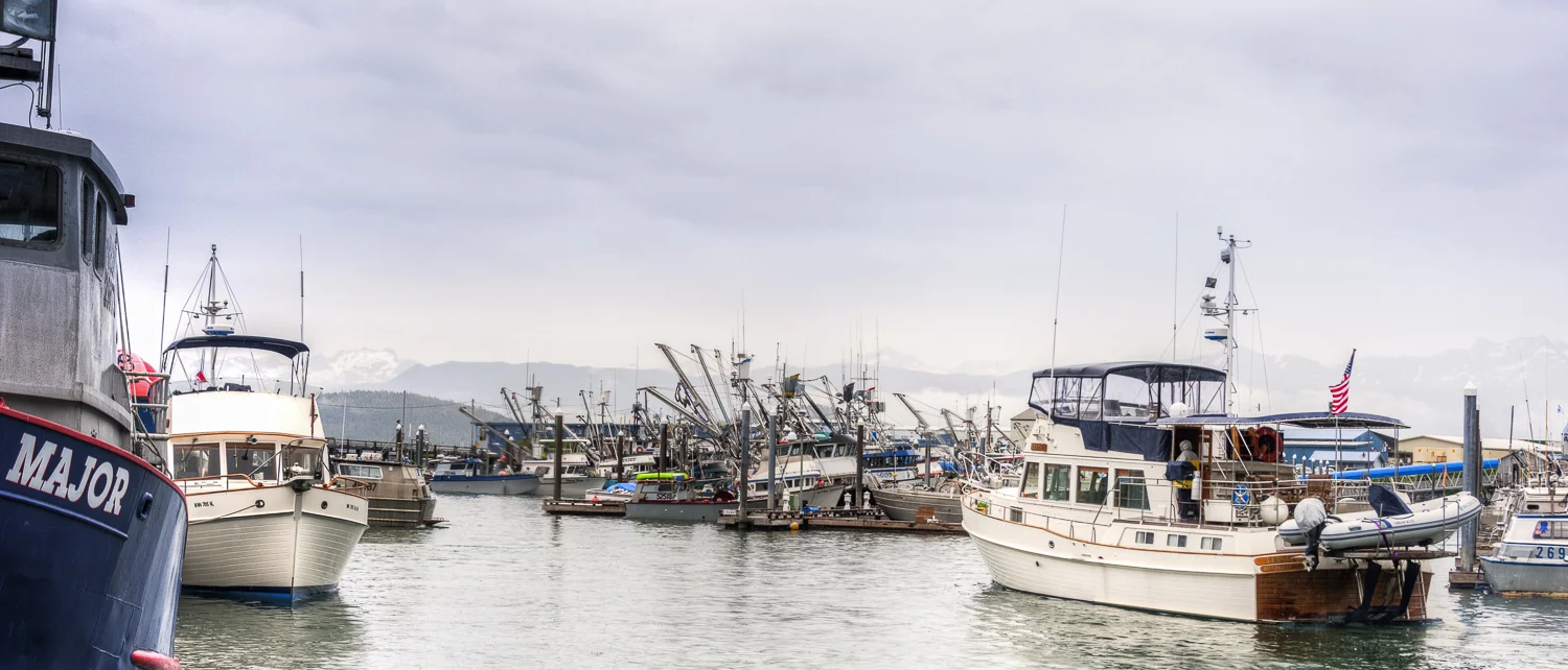 Telita gets a head start on the fleet