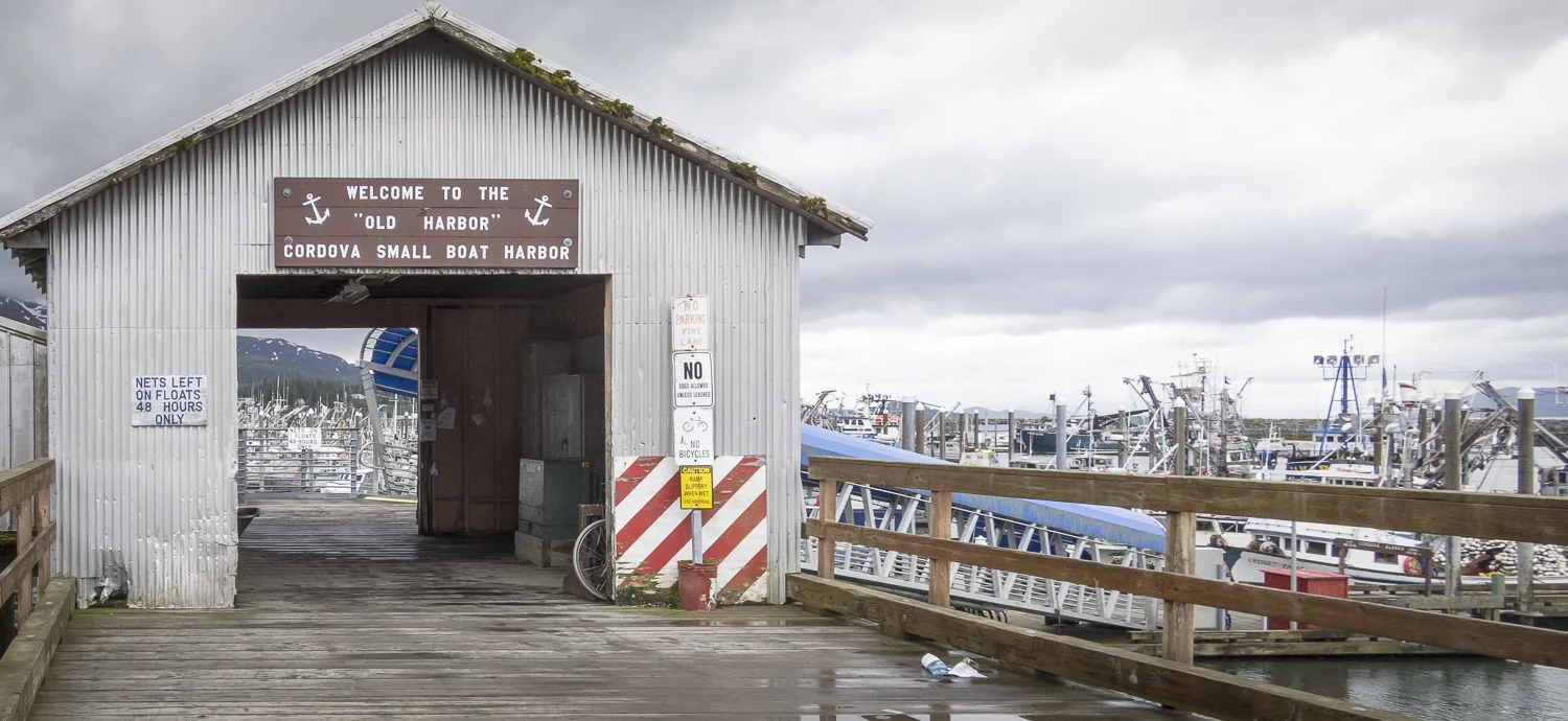 The "Old Harbor" is where the bow pickers berth