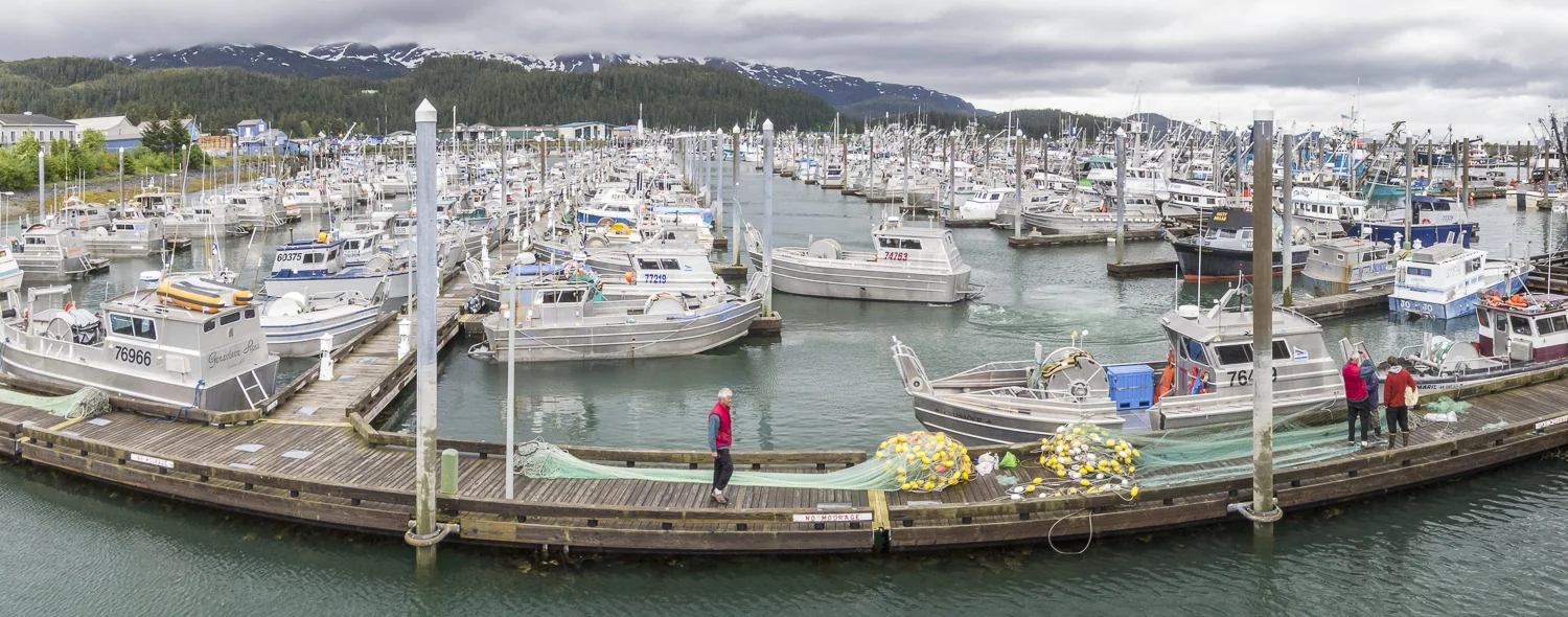 The Old Harbor, bow pickers as far as the eye can see