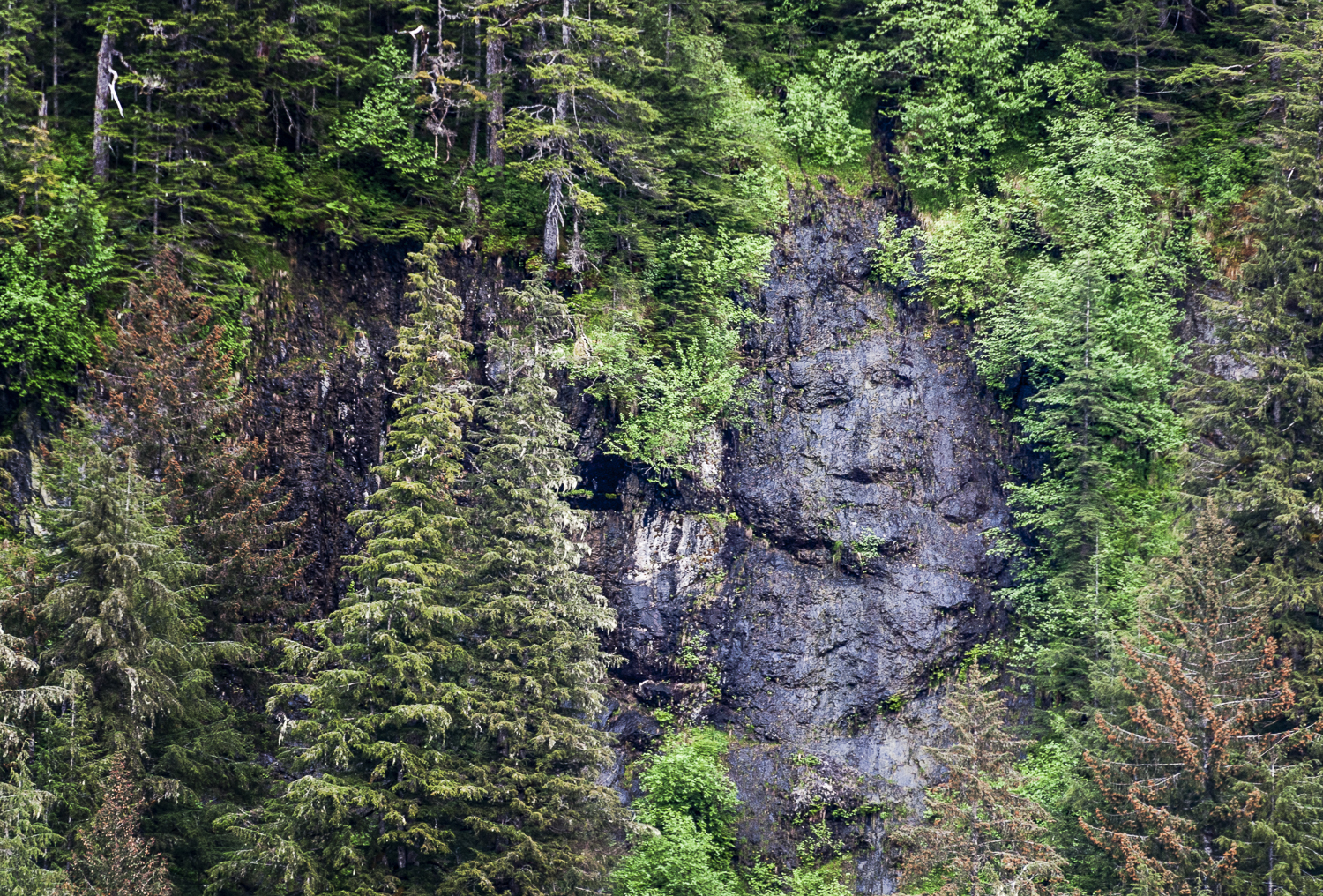 Mother Nature did some sculpture in the rocks