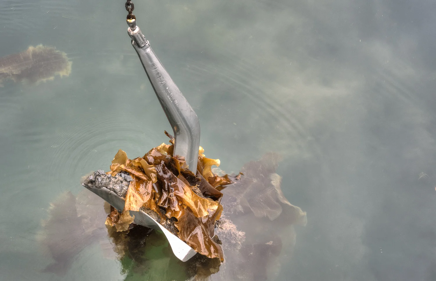The Ultra anchor always does a good job even on a kelp bottom