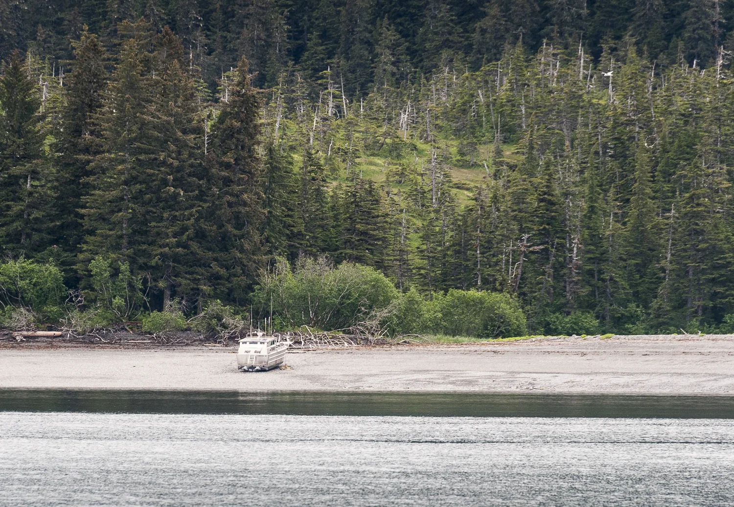 Flat bottomed bow picker beached until the next tide