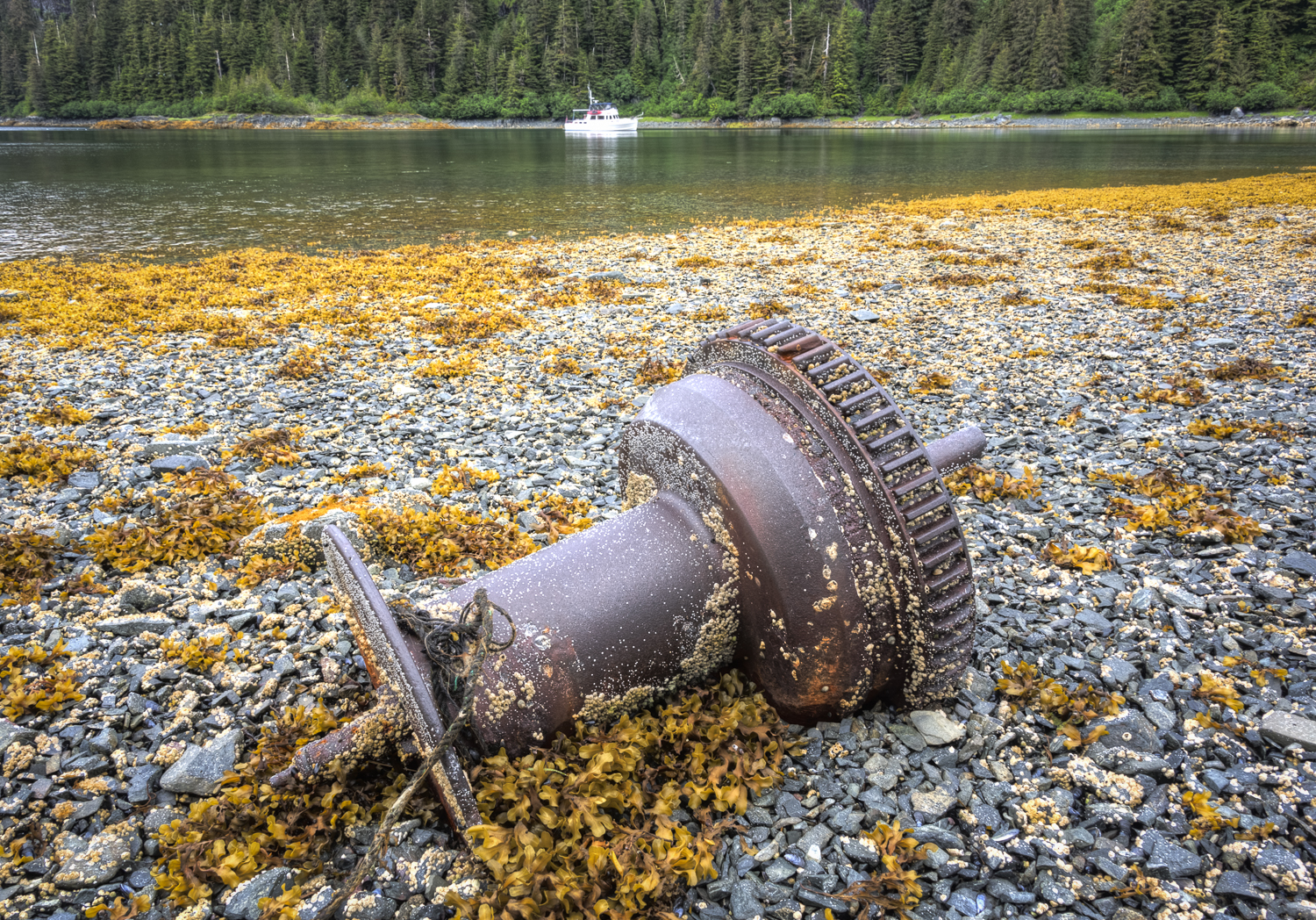 Beach art at Barnes Cove