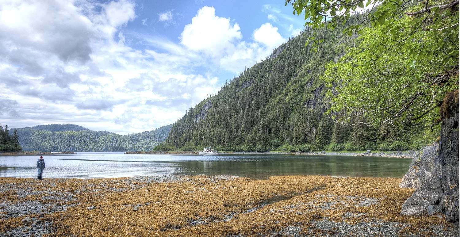 Barnes Cove is beautiful everywhere you look