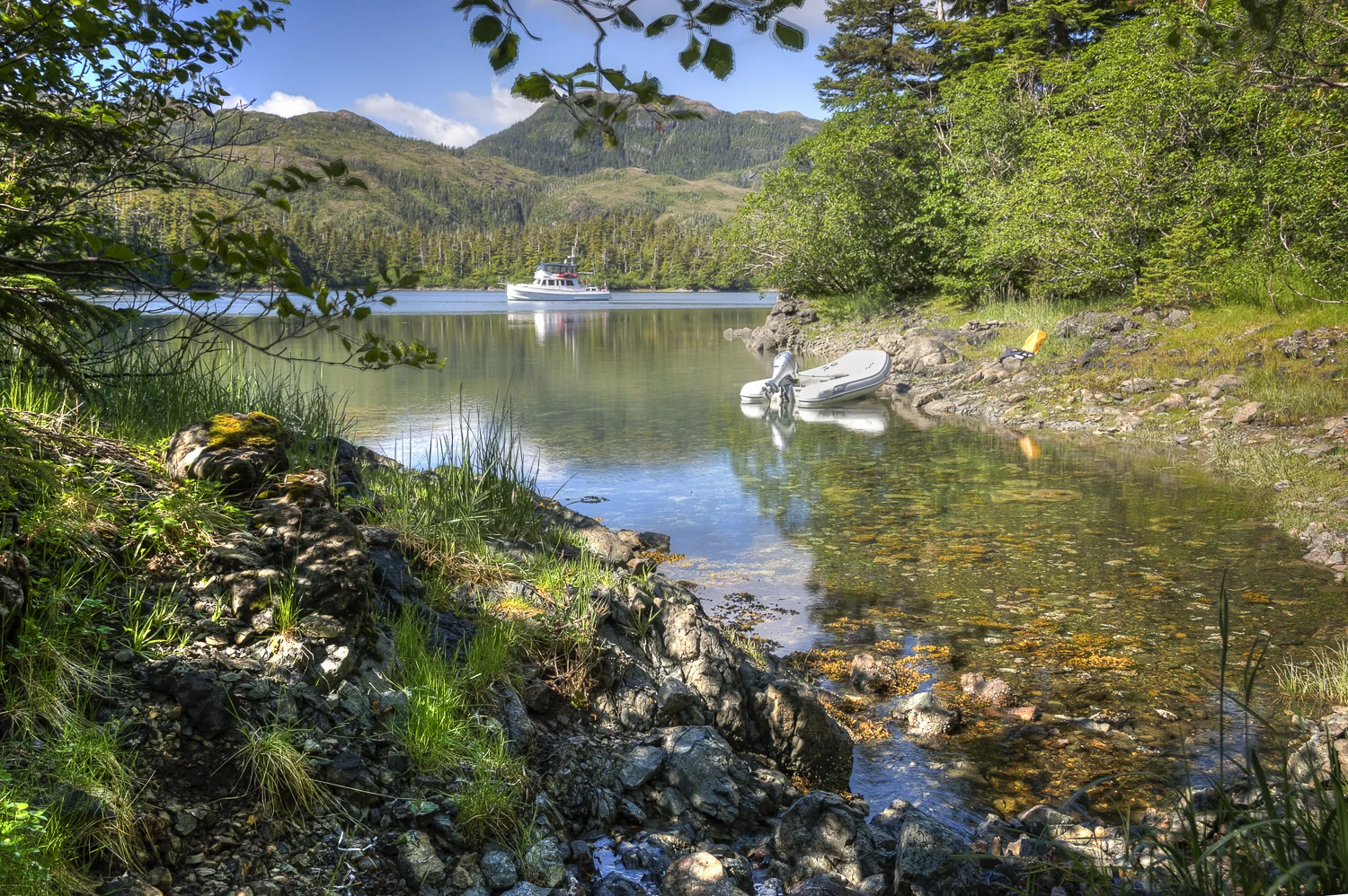 Looking back from the small creek that is our access point