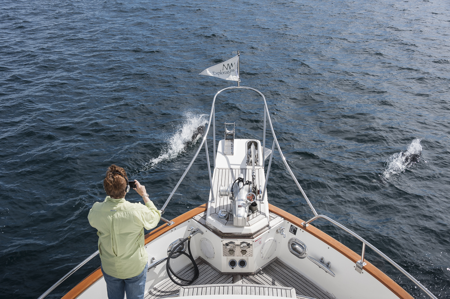 Karen plays with the porpoise on our bow
