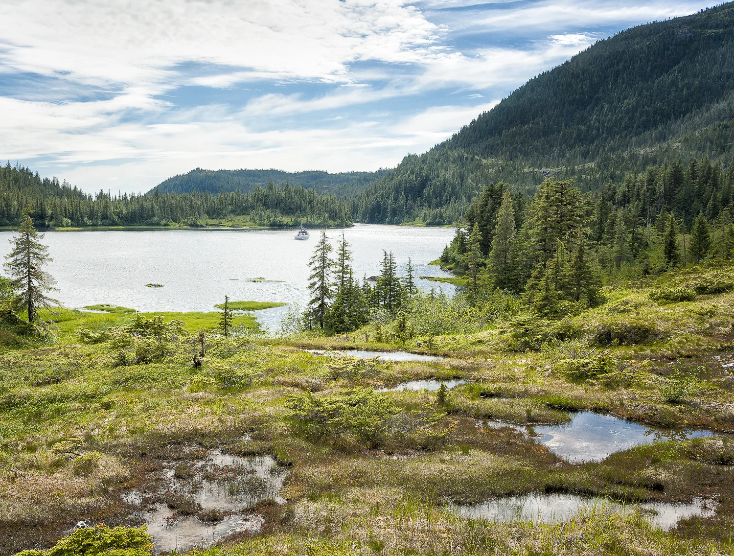 Good hiking around Cedar Bay but what out for the bogs