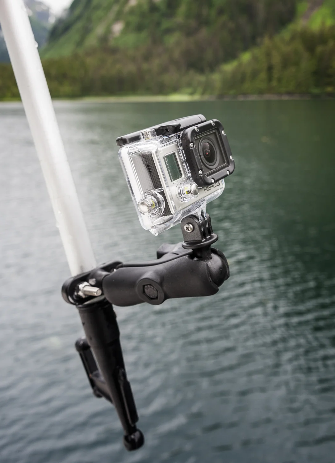 The famous "porpoise cam" rig