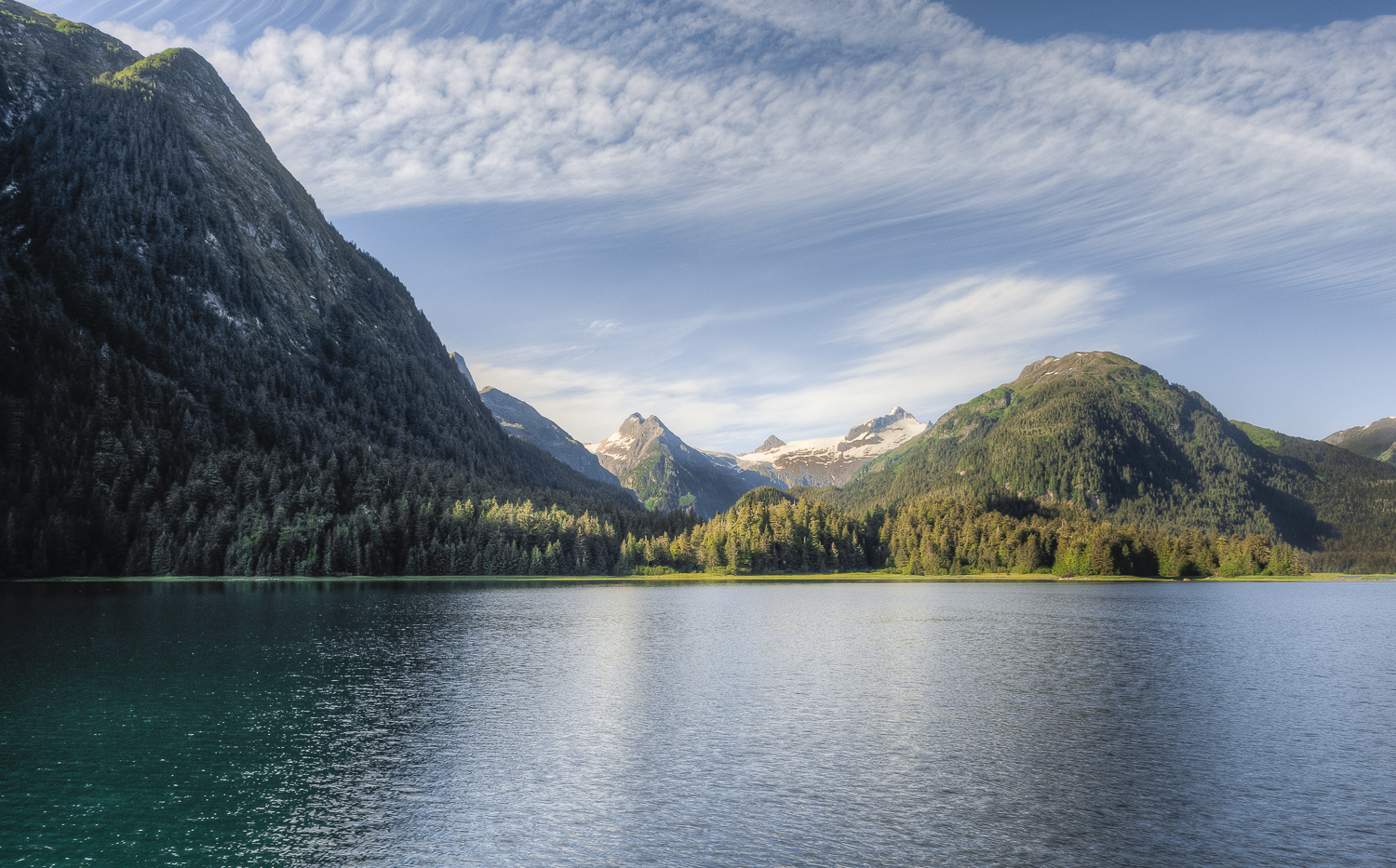 Bears and mountain goat territory in Sheep Bay