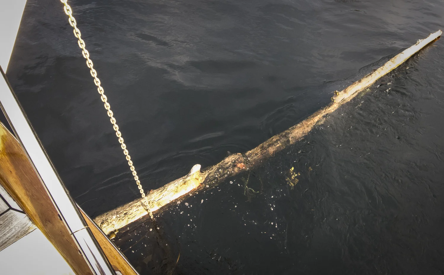 One log held fast by the current