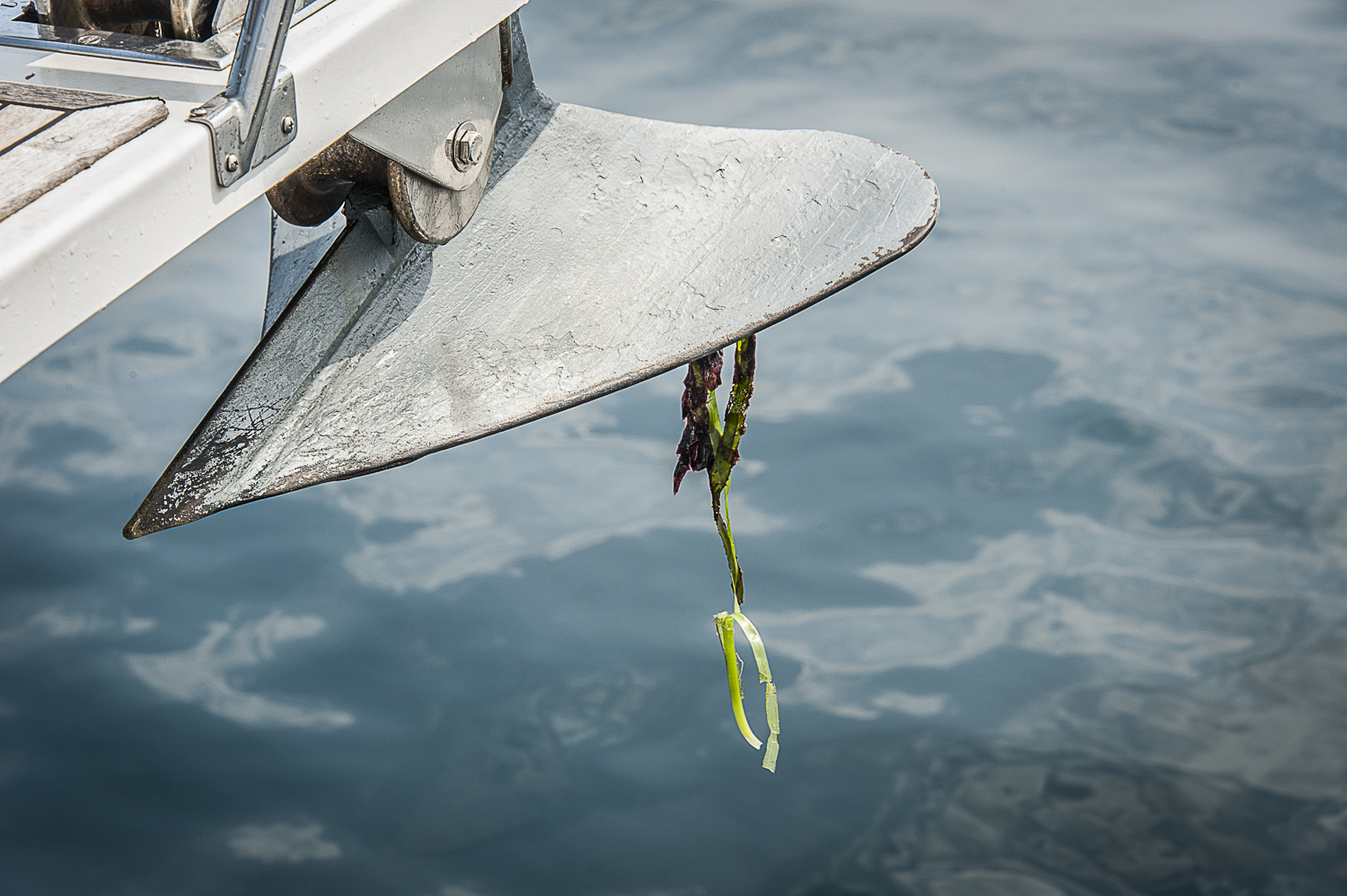 Clean anchor...almost