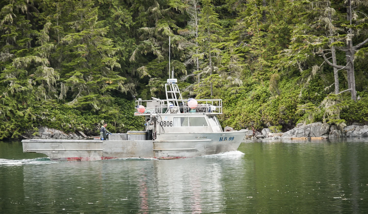 Busy checking crab pots