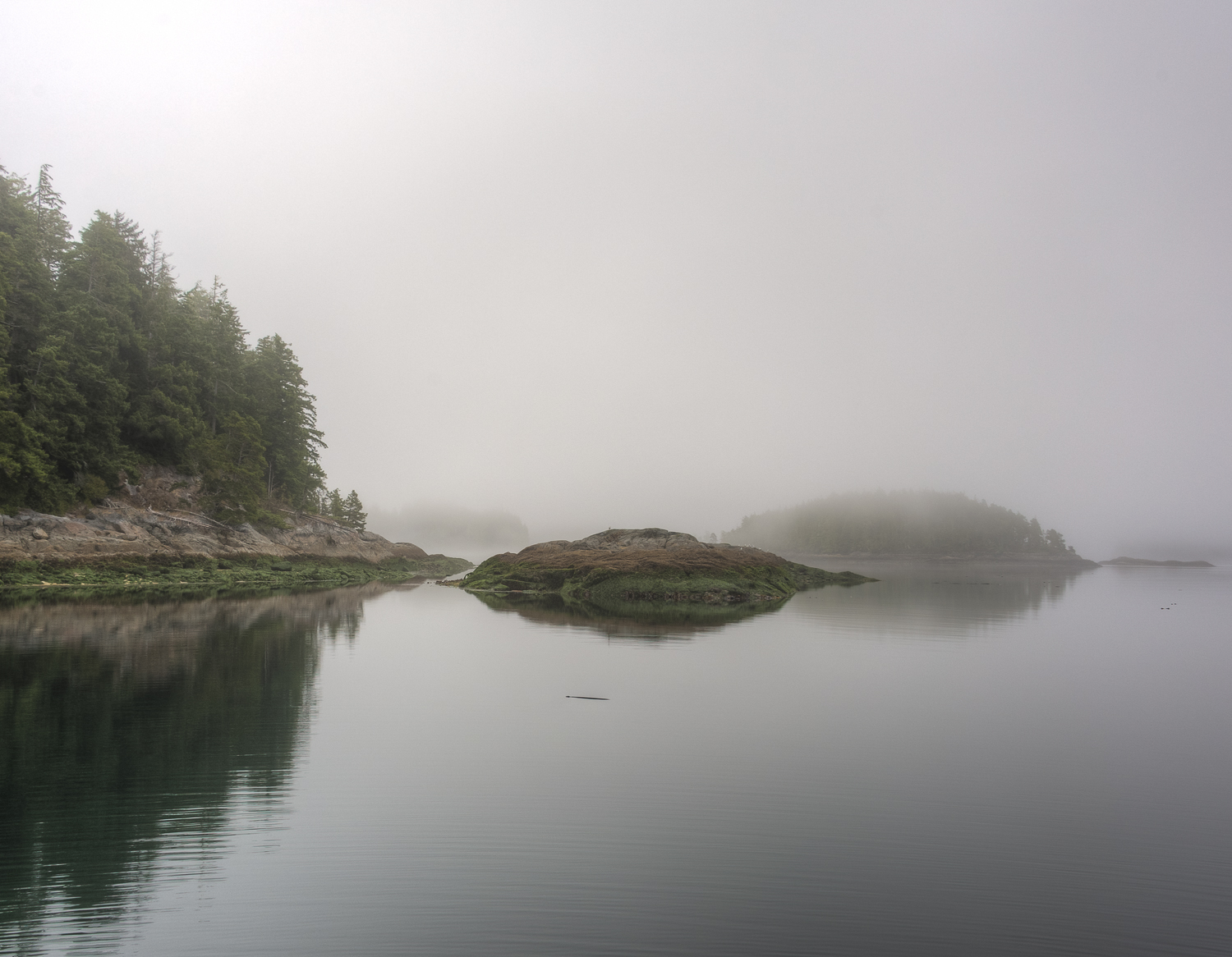 Compare this low tide view with the next picture