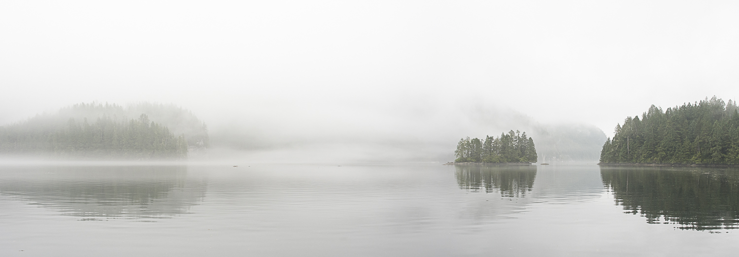 fog is our traveling companion THIS year