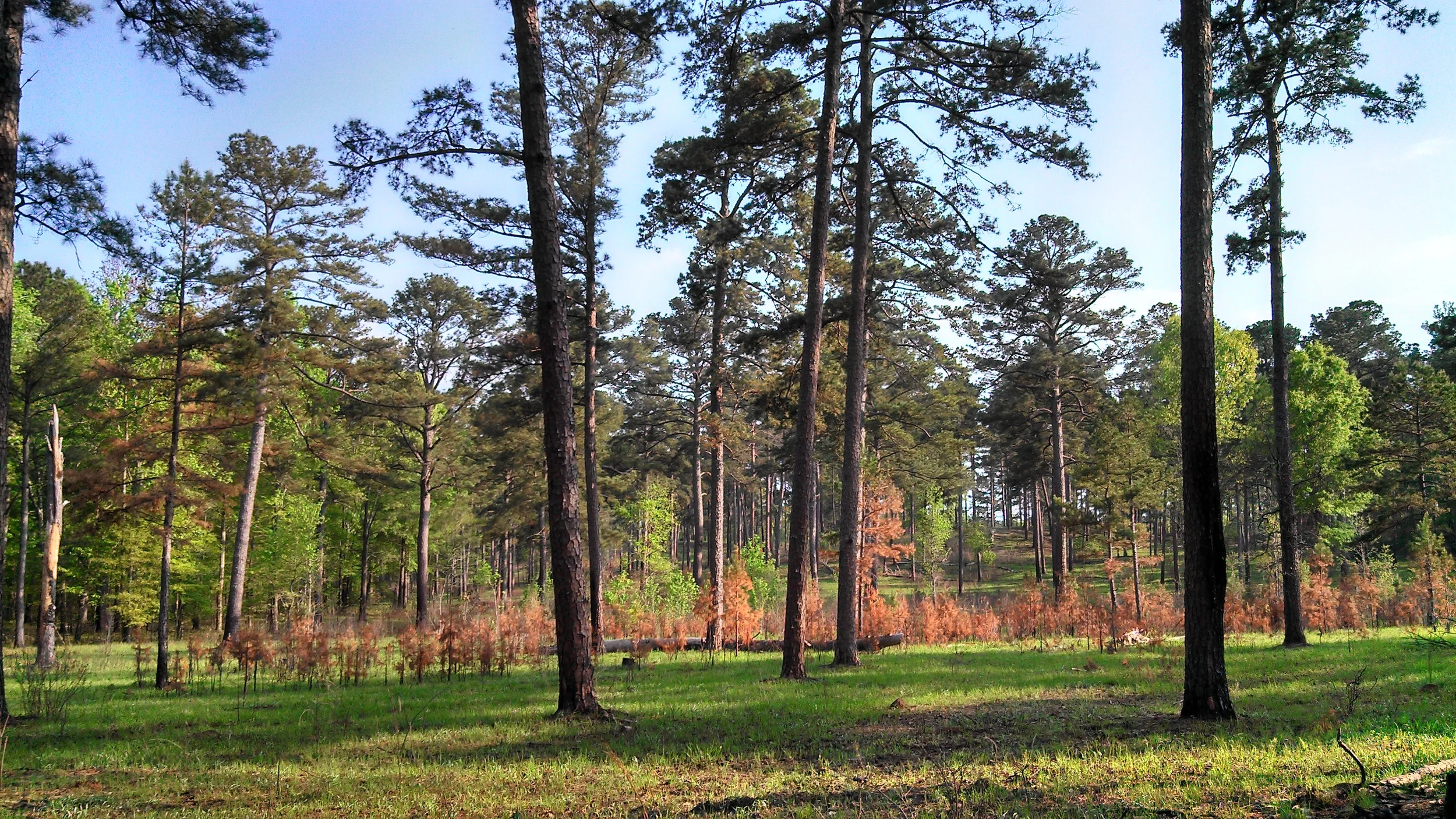 Sehoy Plantation, Bullock County, AL