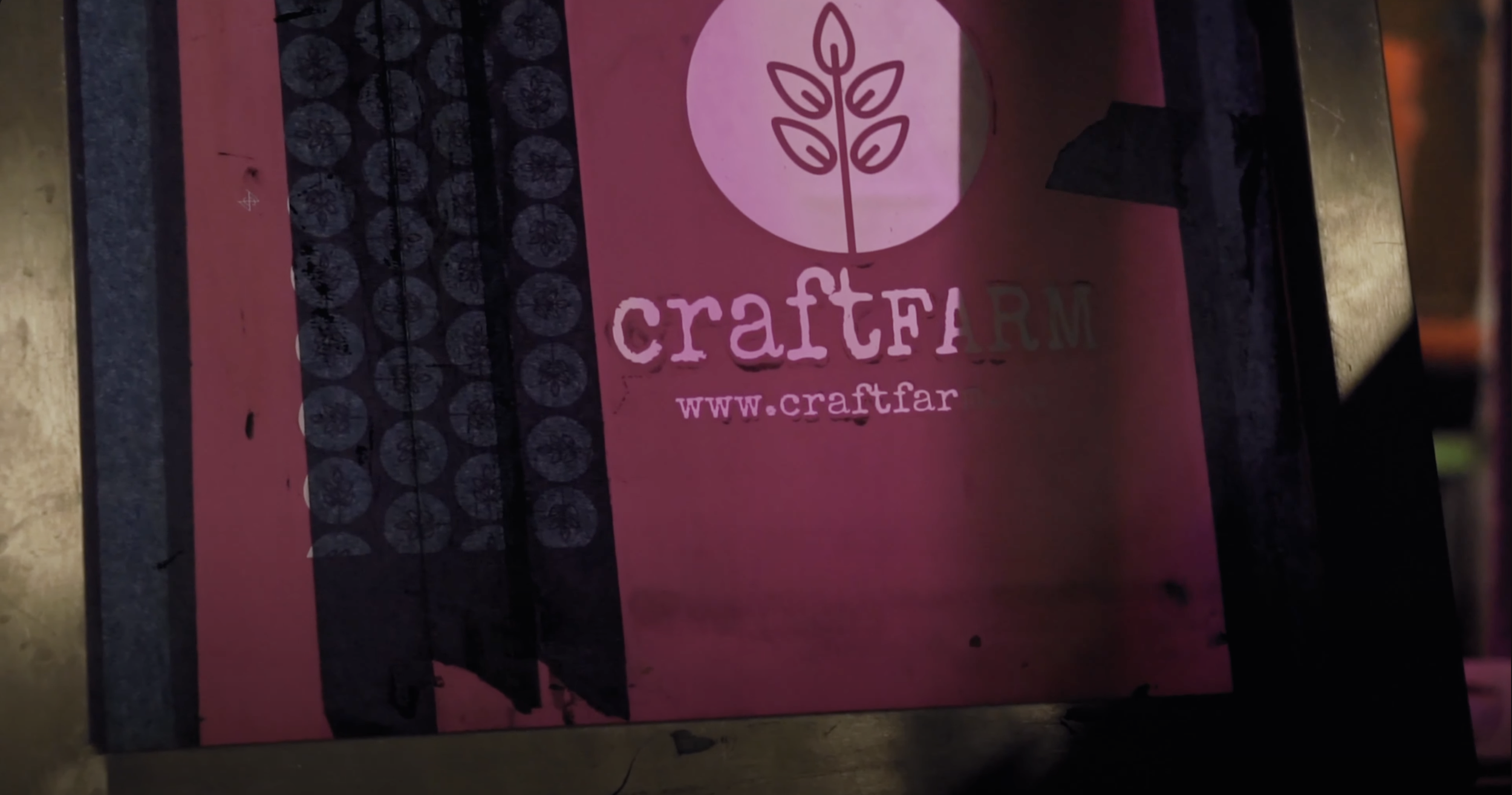Taking the Plunge: The Origins of Craft Farm with Allison Duncan - Corning, NY