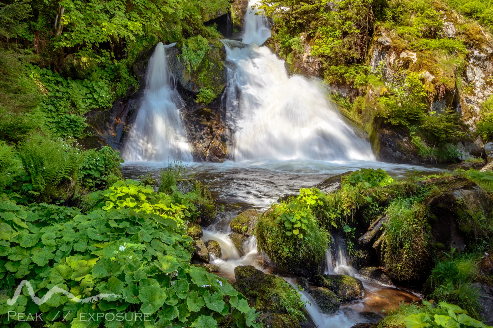 Germany: Mainz and The Black Forest