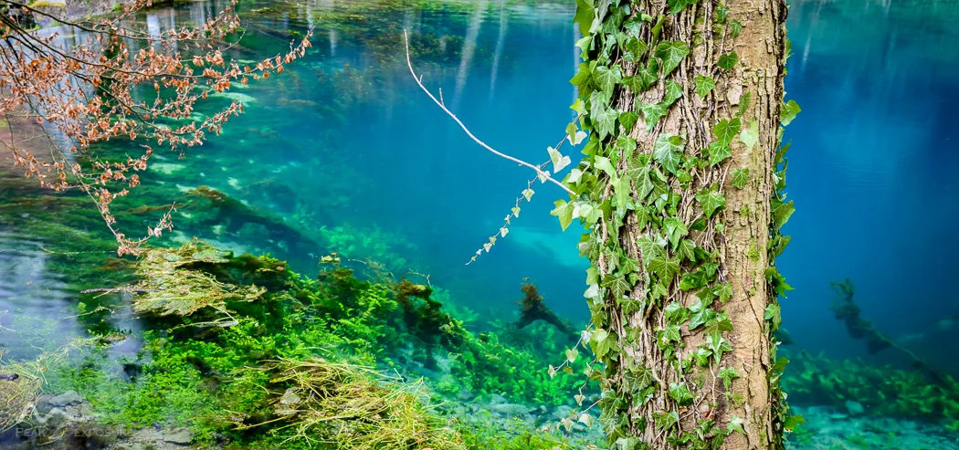 Blaubeuren, Freiburg and Basel