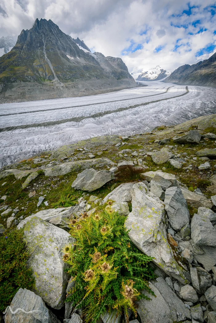 DSC_9962-HDR.jpg