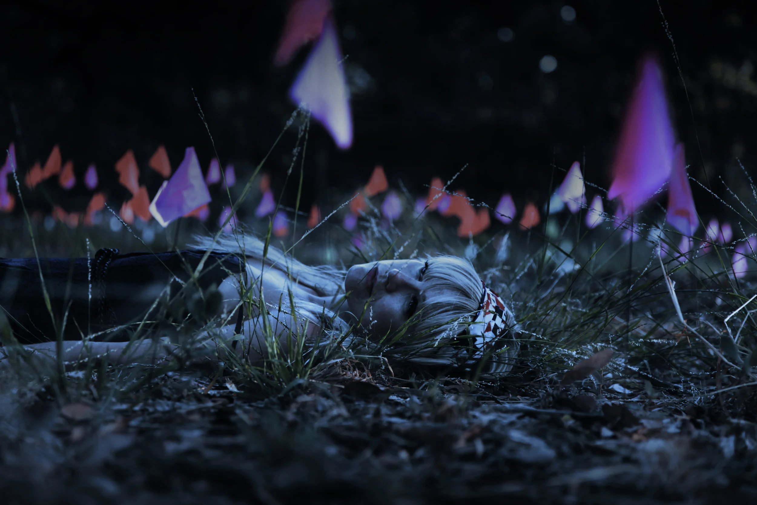 teresa_in_the_grass-night.jpg