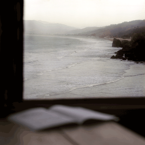 Lucy Goodhart, Looking North