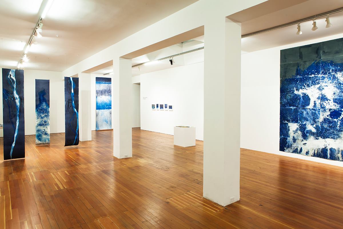 Littoral Drift installation view. Image courtesy of the artist.