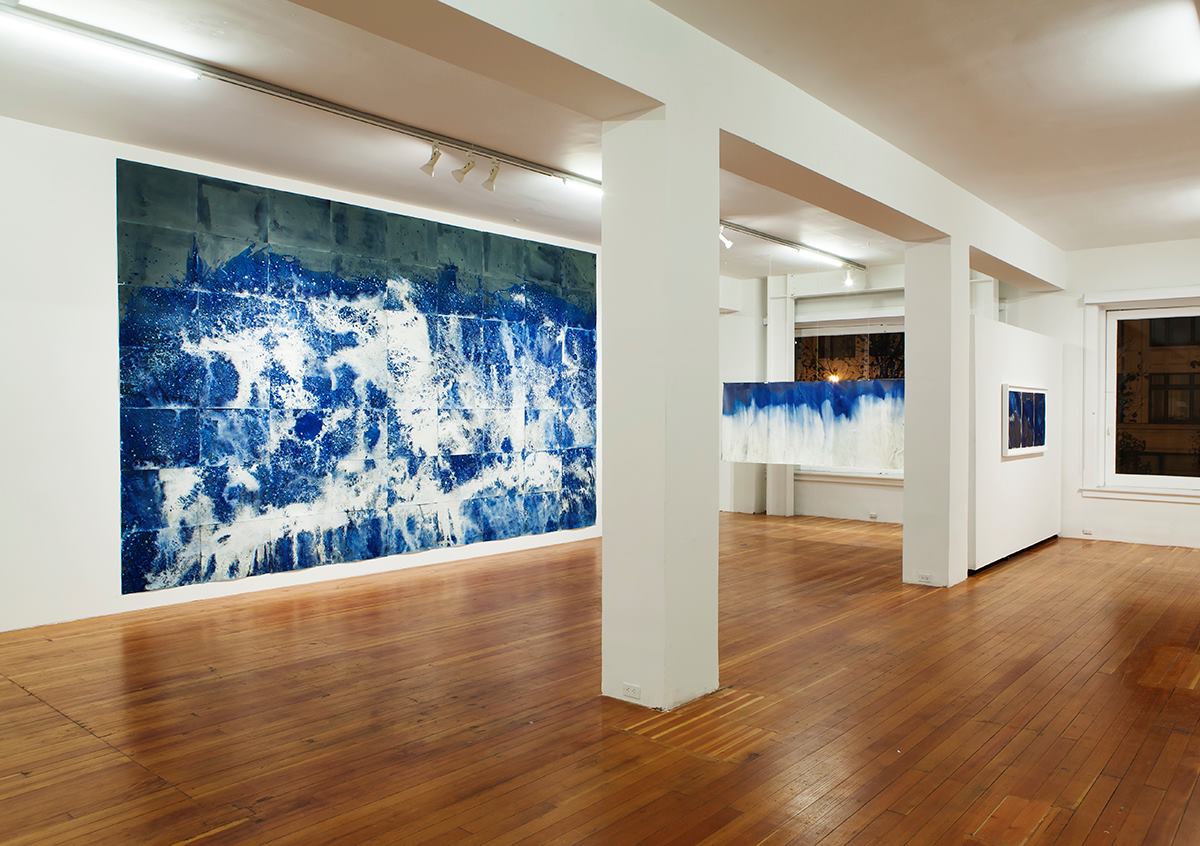 Littoral Drift installation view. Image courtesy of the artist.