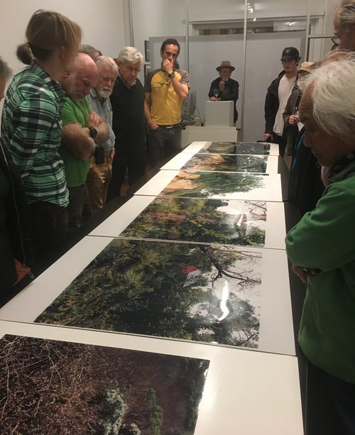 Image from November Members' Critique. Photographs by Emmanuel Feucht