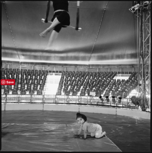 Norma Quintana, Crawling Aerialist