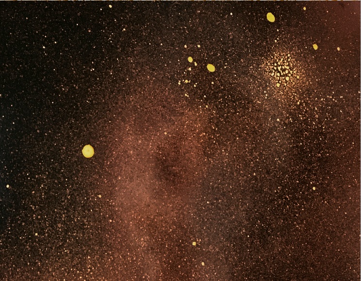 Jennifer Brandon , Dislocation (Detail)