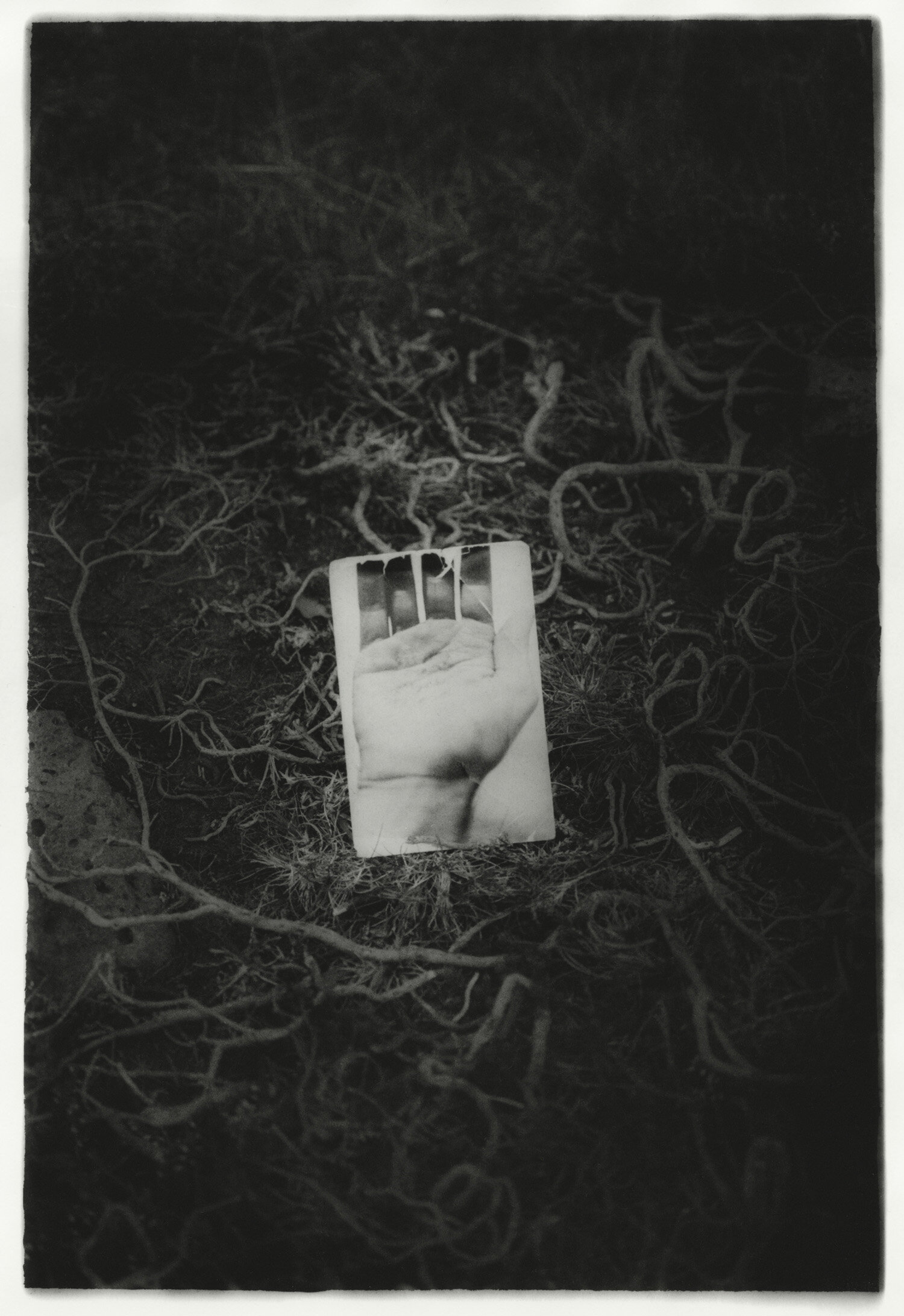noncorpum 32, old hand and distance, 2017