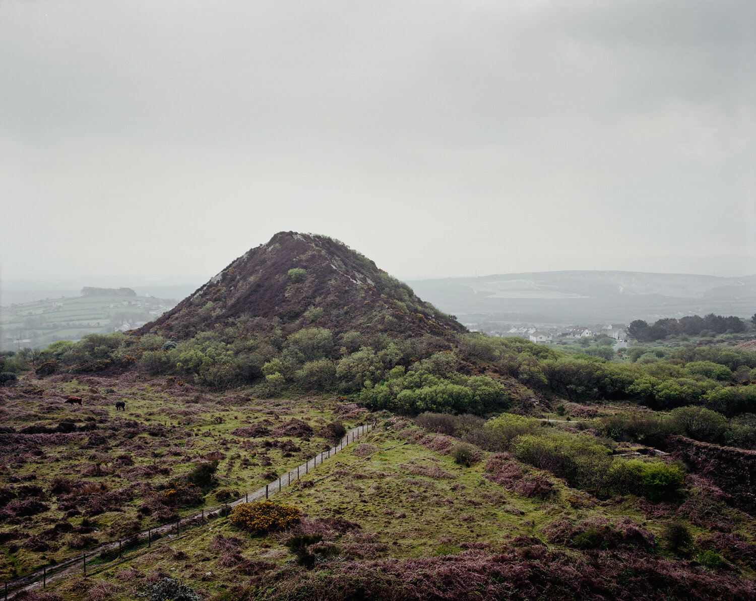 Spoil Hill, Near Whitemoor, Cornwall, UK, 2012