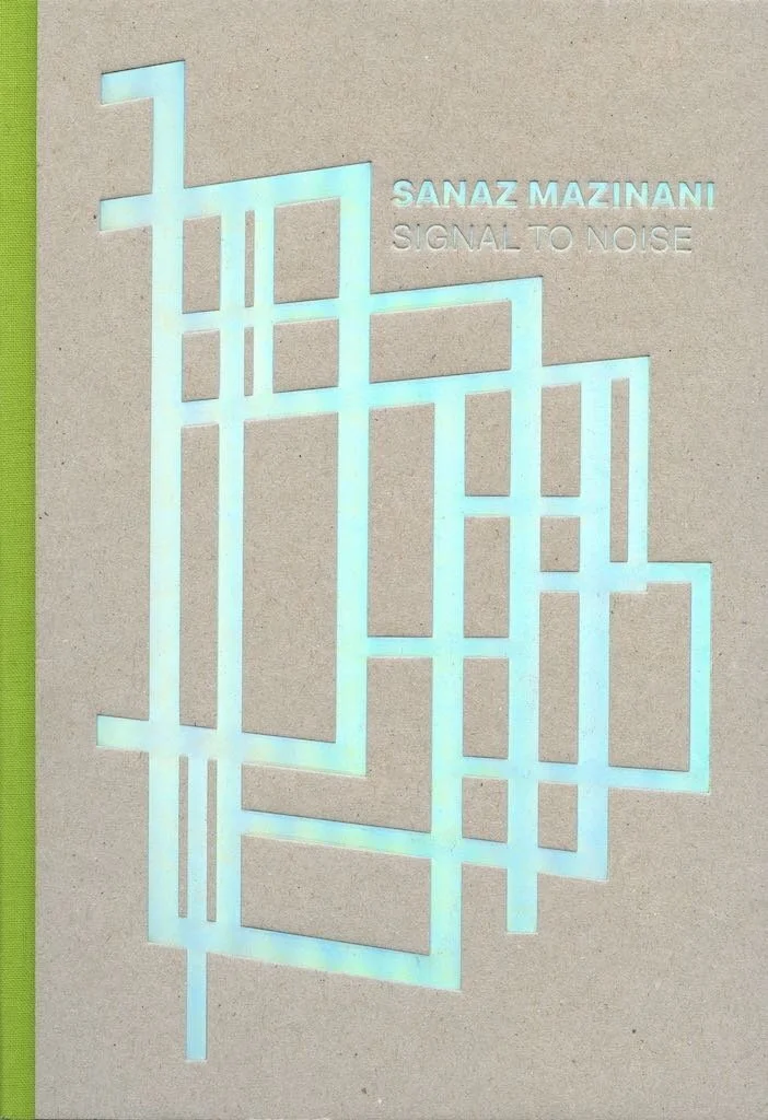 1. SanazMazinani_SignaltoNoise.jpg