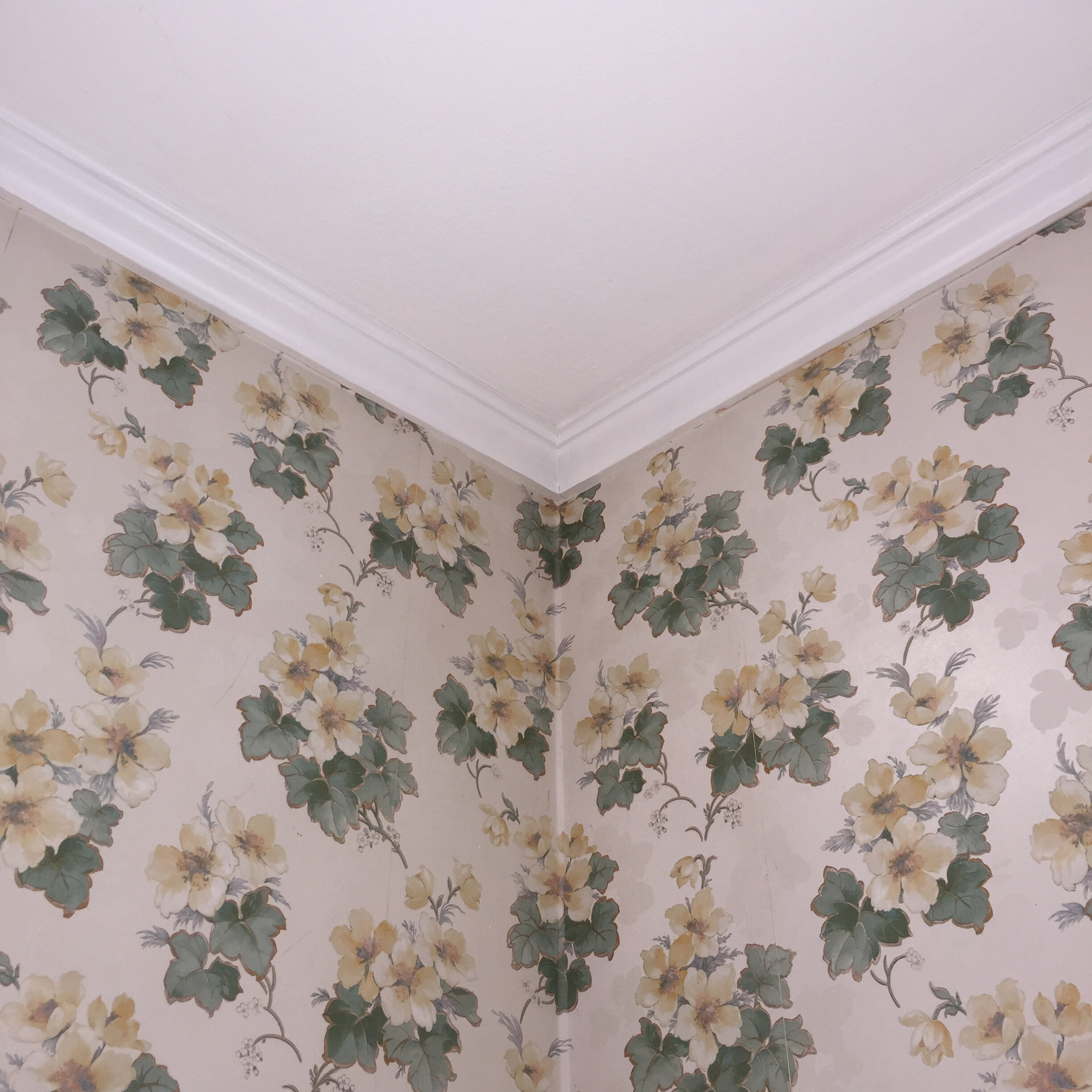  Alice Shaw, “Stuck in the house picture #11” - This is the wallpaper in one of the rooms in my house. I wouldn't have chosen it myself but it has a certain charm.&nbsp; 