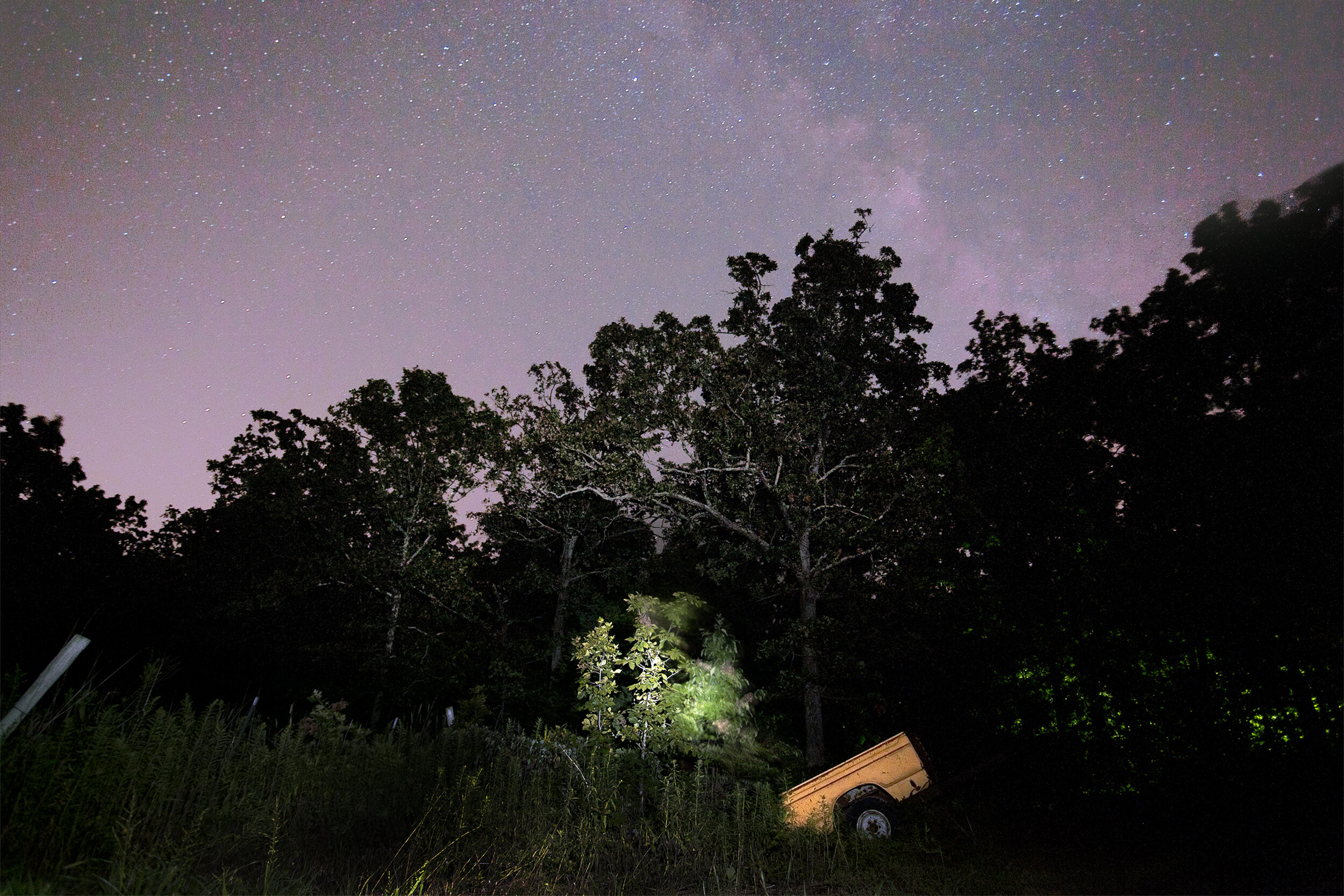  Mido Lee,&nbsp; A Guiding Tree Missouri &nbsp;(Tree Language Series) 