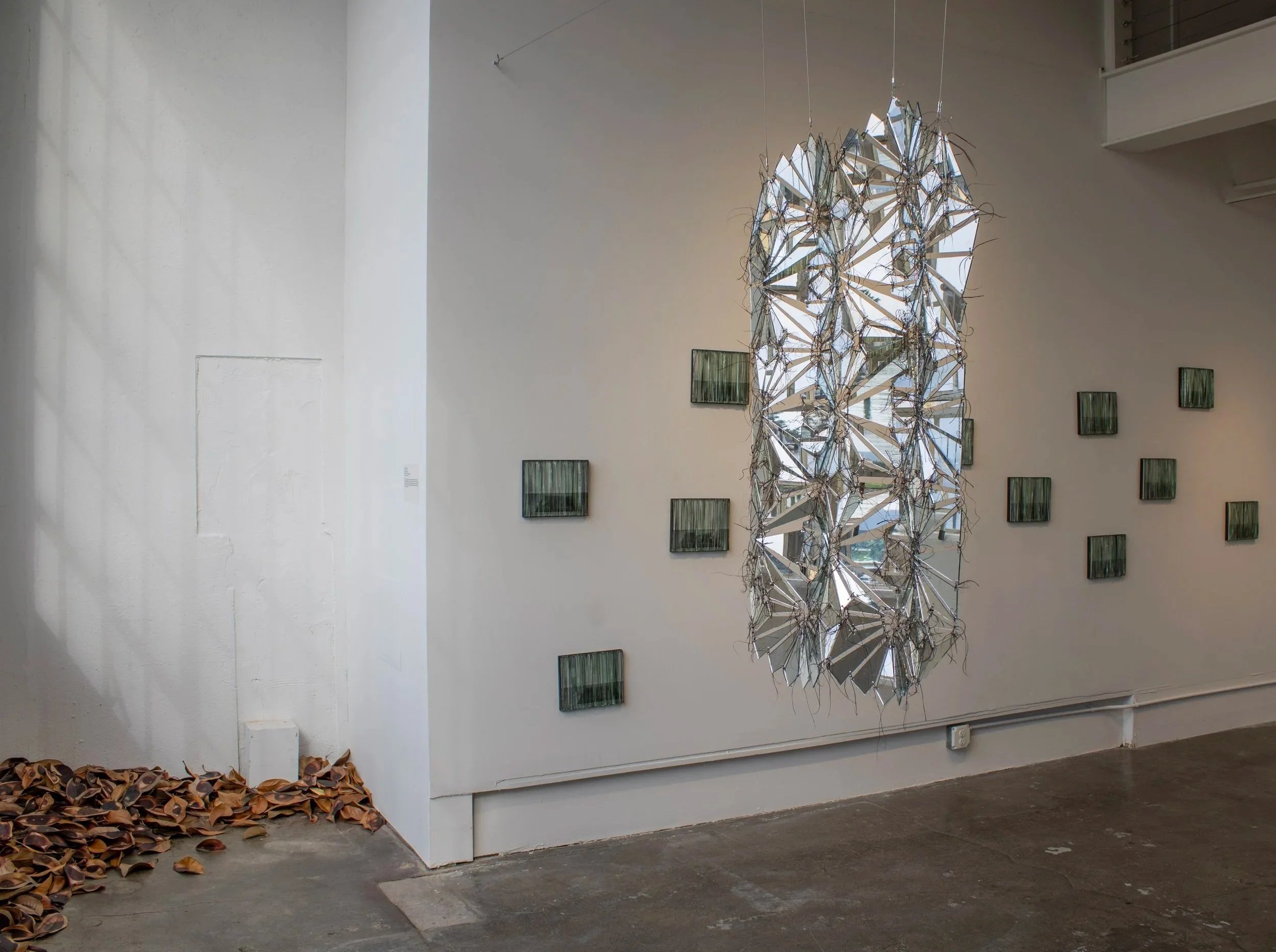  Exhibition installation image of  Nasim Moghadam: And Yet, We See . Photograph by Sophia Aguilar.  