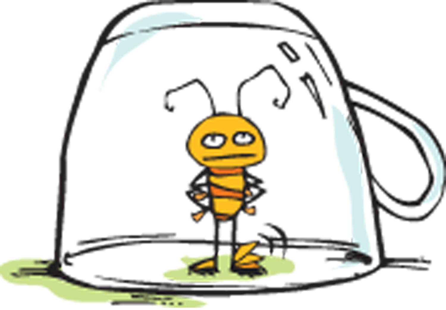 bug in a cup.png