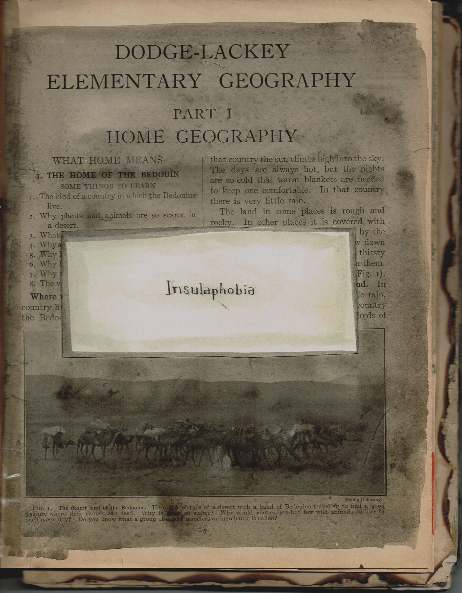 geo of the mind insulaphobia.jpeg