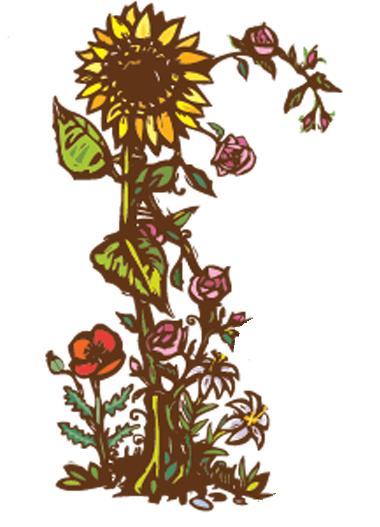 hither creek no type2.png